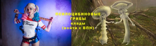 амф Алексин