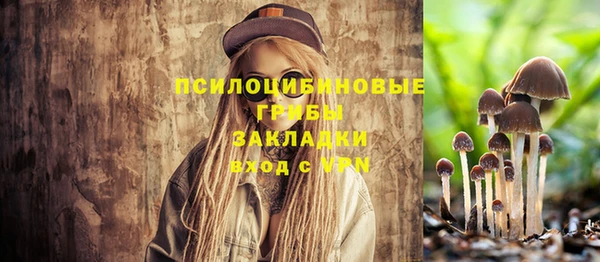 Альфа ПВП Абдулино