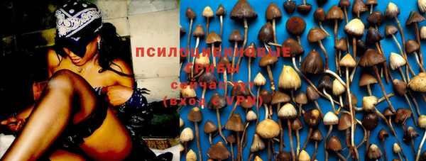 Альфа ПВП Абдулино