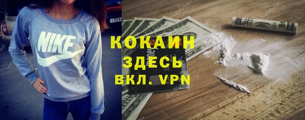амф Алексин
