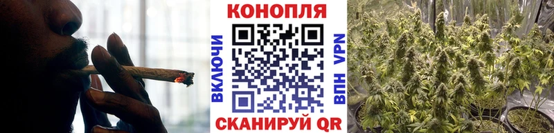 Бошки Шишки марихуана  МЕГА онион  Котово  сколько стоит 